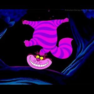 Meet your Posher, Chase